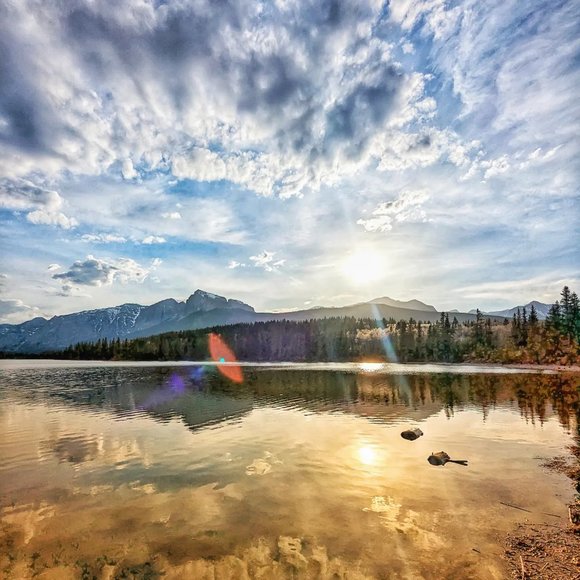 Meet your Posher - Picture 1 of 1